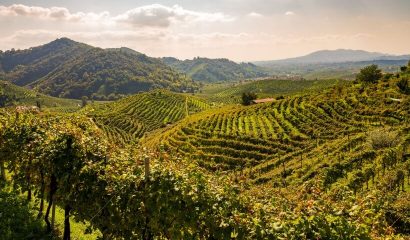 colline-prosecco-valdobbiadene