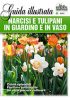 NARCISI E TULIPANI IN GIARDINO E IN VASO