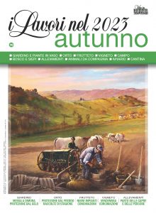 lavori-autunno