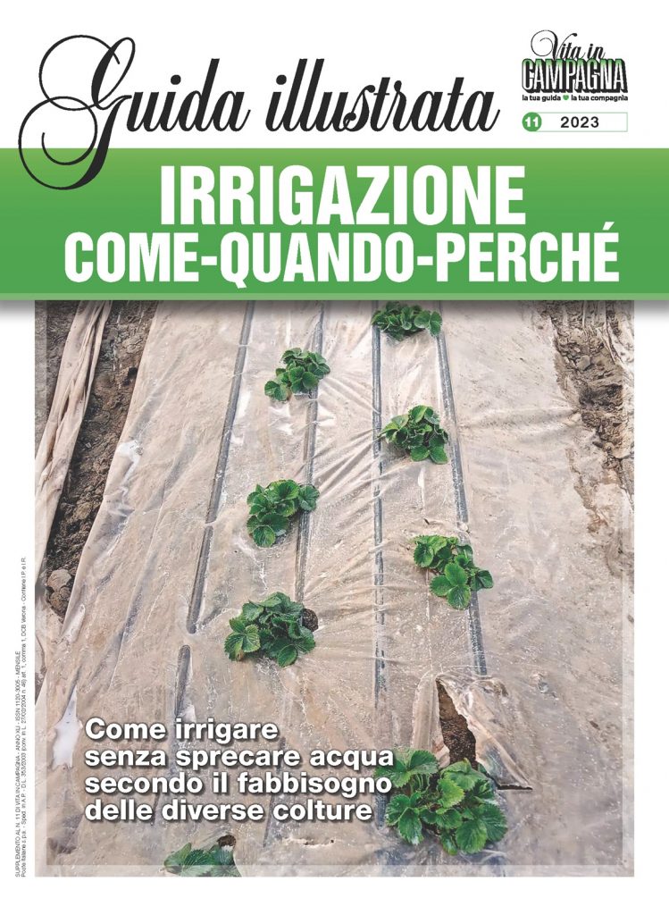irrigazione-come-quando-perch-vita-in-campagna