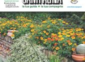 vita-in-campagna-settembre-2024
