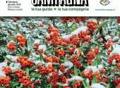 vita-in-campagna-dicembre-2024