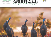 vita-in-campagna-febbraio-2025