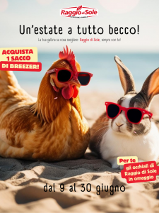 Raggio di sole_2506 – Promo Breezer