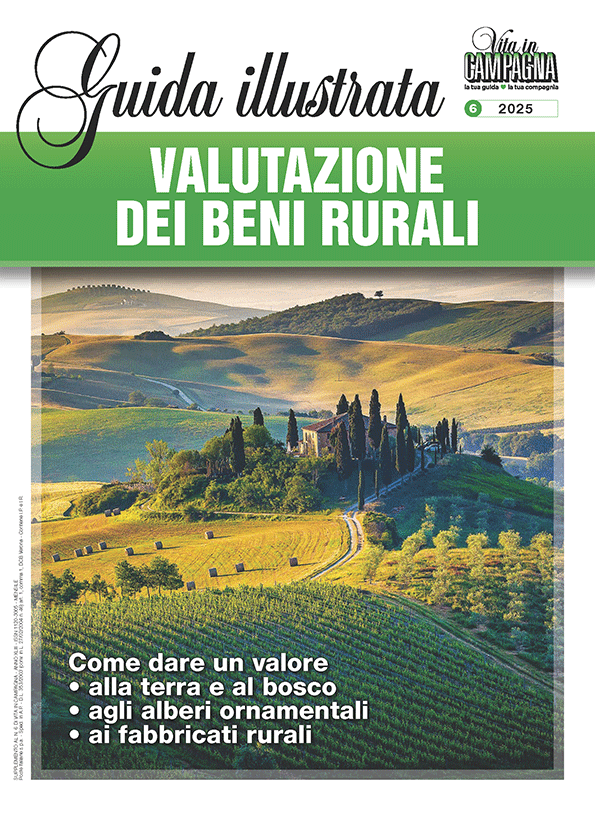 guida-illustrata-valutazione-beni-rurali