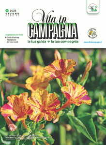 vita-in-campagna-giugno-2025