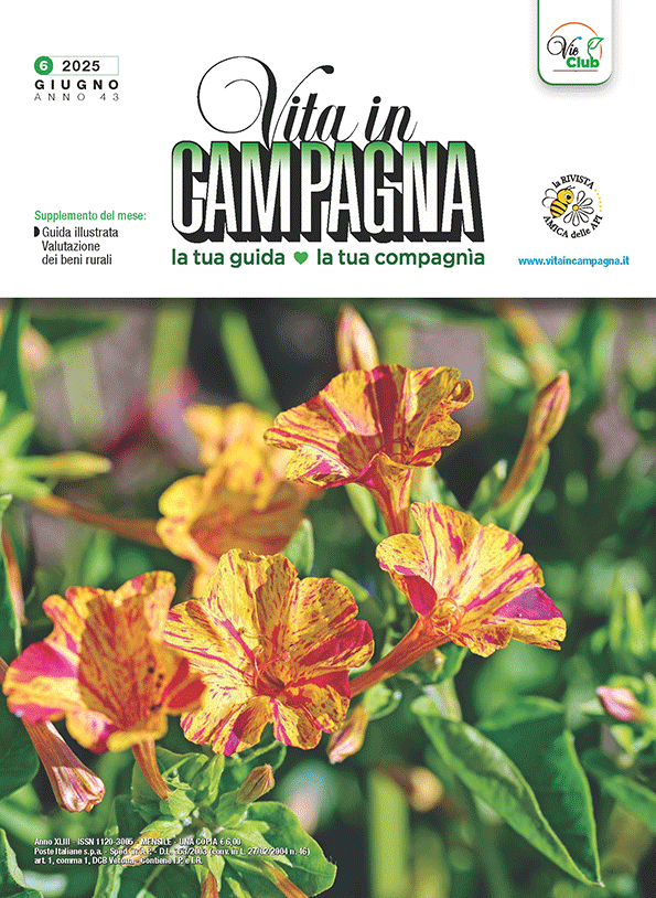 vita-in-campagna-giugno-2025