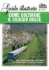 COME COLTIVARE IL CILIEGIO DOLCE