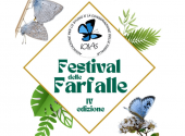 festival-farfalle-iolas