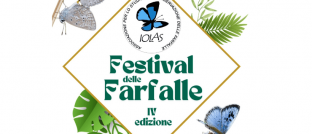 festival-farfalle-iolas