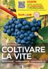 COLTIVARE LA VITE<br>Tradizione Innovazione Sostenibilità<br>Nuova edizione