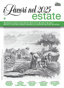 lavori-estate-2025