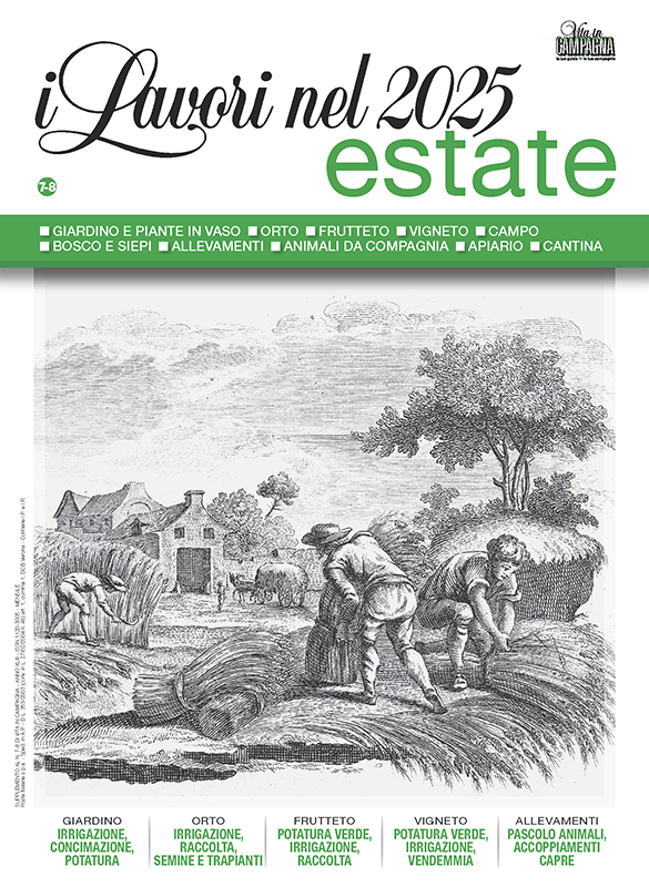 lavori-estate-2025