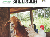 vita-in-campagna-luglio-agosto-2025