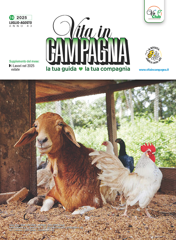 vita-in-campagna-luglio-agosto-2025