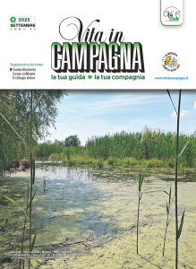vita-in-campagna-settembre-2025