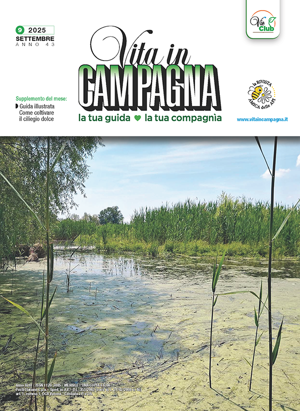 vita-in-campagna-settembre-2025