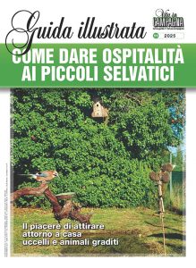 guida-illustrata-come-dare-ospitalita-ai-piccoli-selvatici