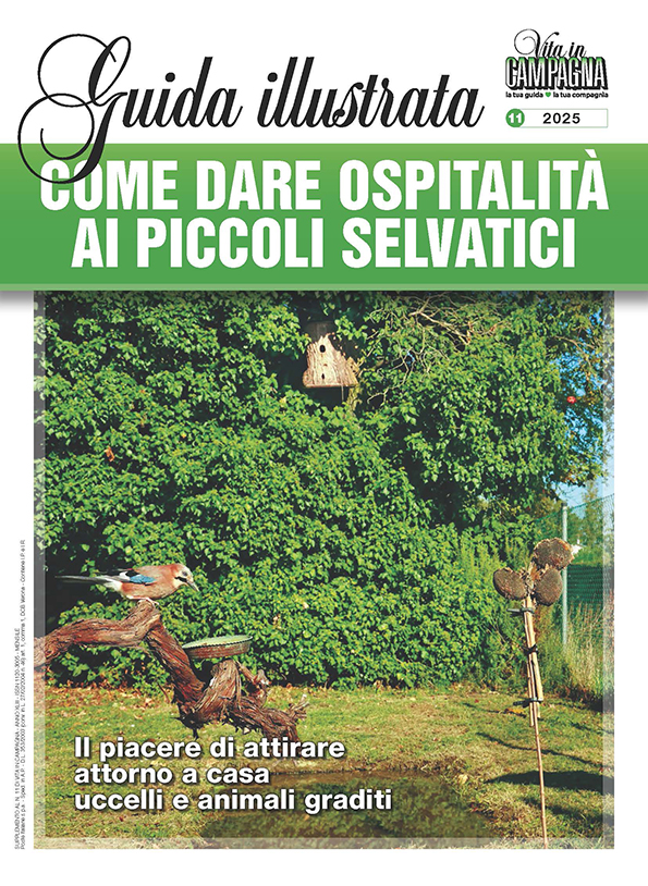 guida-illustrata-come-dare-ospitalita-ai-piccoli-selvatici