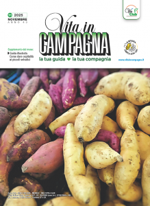 vita-in-campagna-novembre-2025