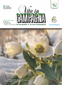 dicembre-2025-vita-in-campagna