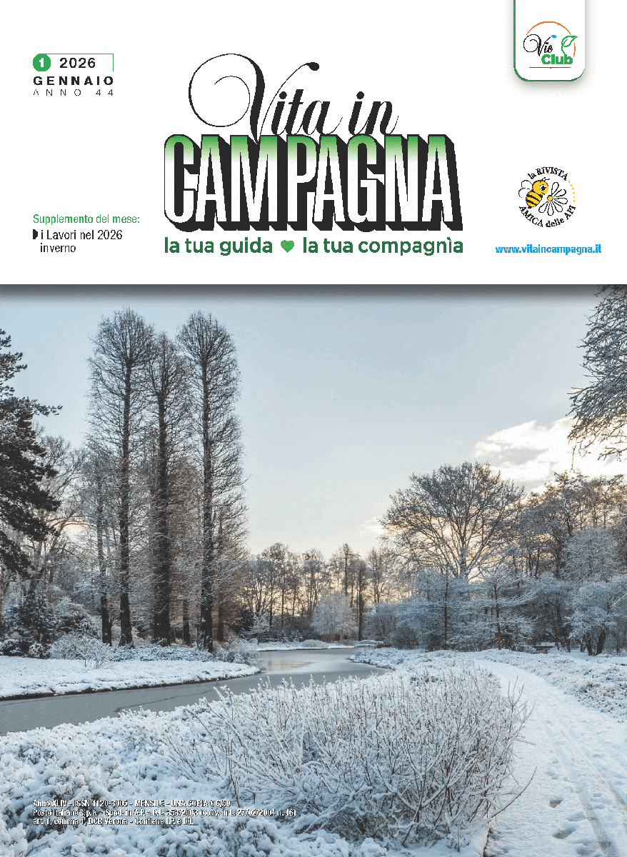 gennaio-2026-vita-in-campagna