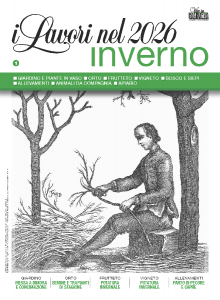 lavori-inverno-2026-vita-in-campagna