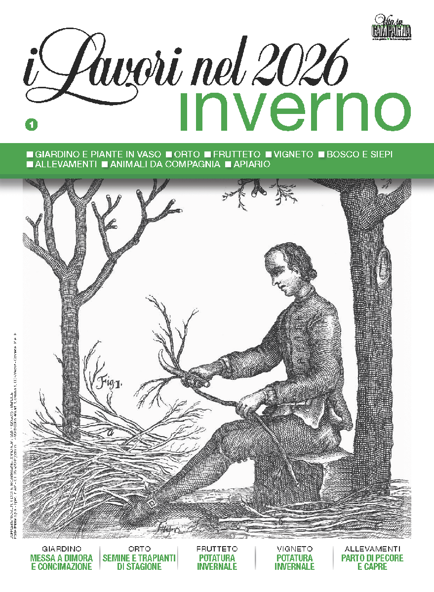 lavori-inverno-2026-vita-in-campagna
