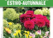 bulbose-fioritura-estivo-autunnale-febbraio-2026
