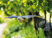dissuasore-uccelli-orto-sagoma-rapace