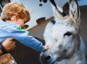 fattoria-didattica-asino-bambino