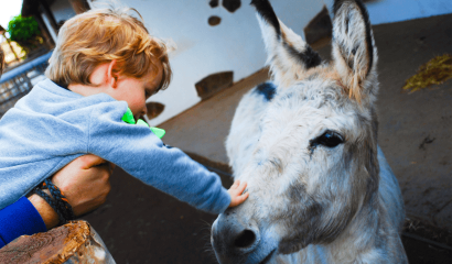 fattoria-didattica-asino-bambino