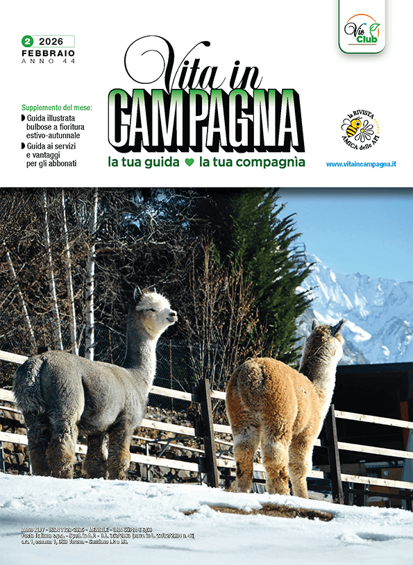 febbraio-2026-vita-in-campagna