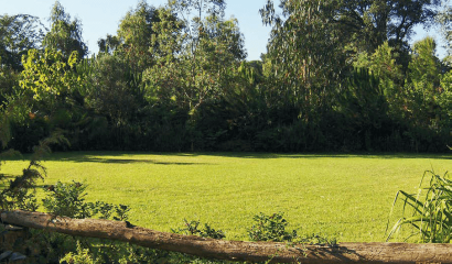 giardino-mediterraneo