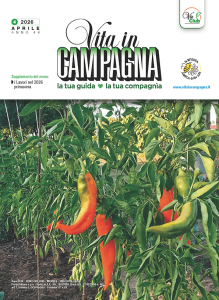 1a_cop_n0426vic_numero