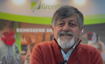 greenvet