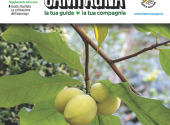 1a_cop_n0626vic