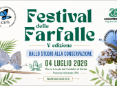 festival-farfalle-2026